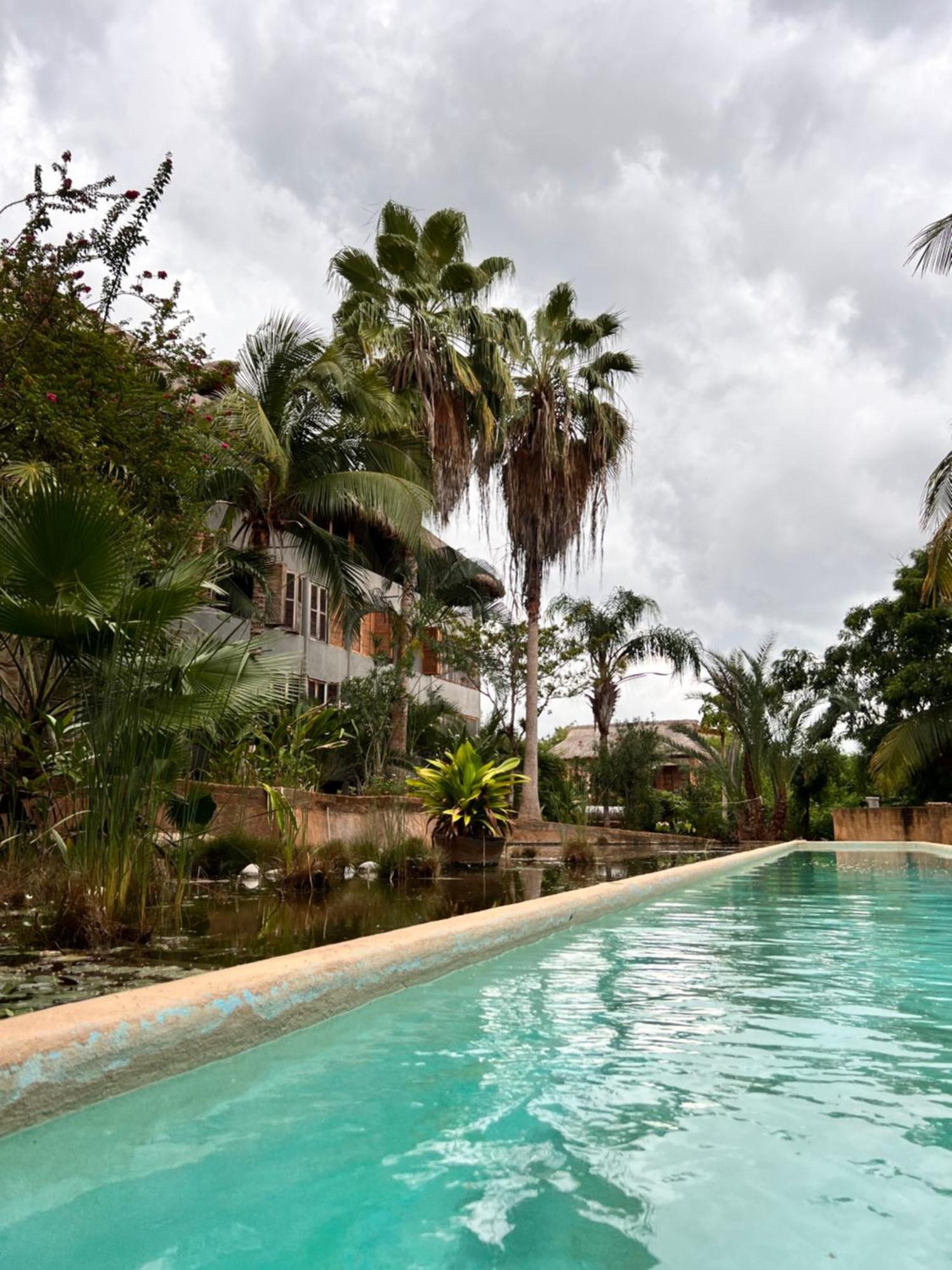 Puerto Escondido Pool, Beach Club, Starlink Wifi & Ac Paso Hondo Exterior photo